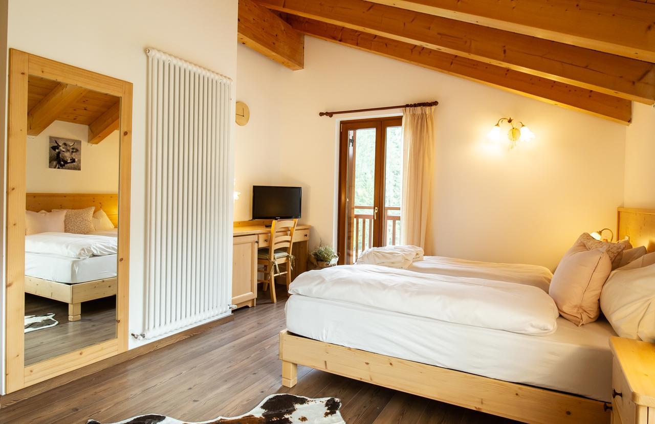 Hotel Chalet Giasenei Sagron Mis Extérieur photo